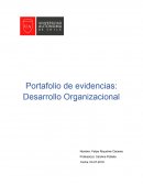 Casos Desarrollo organizacional