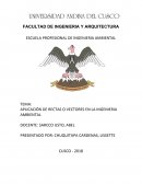 La importancia de los vectores en la ingenieria ambiental