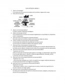 Guia de histologia