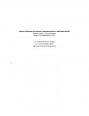 Gestión Profesional de Proyectos y Preparación para la Certificación de PMP. 5G Site Evolution