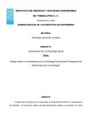 Ensayo sobre “La importancia de la psicología social para el desarrollo de otras áreas de la psicología”