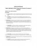 FUNCIONES VITALES: Respiración, Nutrición, Circulación Y Excreción