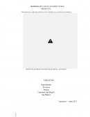 CREACION DE LA PORTADA TURISTICA EN EL INGRESO A LA CIUDAD DE SAN MIGUEL, DISTRITO DE SAN MIGUEL, PROVINCIA DE SAN MIGUEL - CAJAMARCA