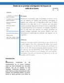 Diseño de un prototipo amortiguador del impacto de caída de un huevo