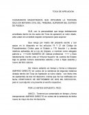 MODELO ESCRITO PARA INTERPONER AMPARO DIRECTO