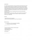 Implementación de sistema de seguridad en el colegio