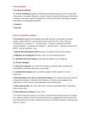 Fases del proceso penal