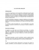 EL CULTIVO DEL AGUACATE