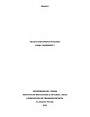 ¿Cuales han sido los aportes que en el proceso educativo han generado en Colombia?