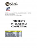 INVESTIGACION DE MERCADOS Y DISEÑO DE ESTUDIOS SECCION