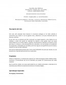 Clubes de autonomía curricular