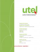 Inteligencia profesional organizativa