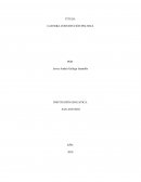 CATEDRA CONSTITUCIÓN POLITICA