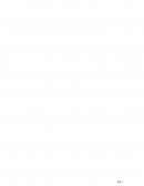 Gestion de riesgos en la industria de harina de pescado