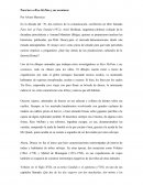 Ensayo sobre Patoaventuras