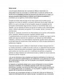 Ensayo Salud social