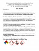 SEGURIDAD E HIGIENE EN EL TRABAJO Trabajo Práctico