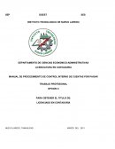 MANUAL DE PROCEDIMIENTO DE CONTROL INTERNO DE CUENTAS POR PAGAR