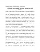 El idealismo marxista en el socialismo y las comunas venezolanas según Héctor Michelena