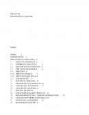 PROYECTO BIZCOCHUELOS “Doña Mila”