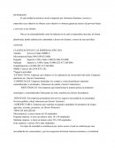 Tipos de sociedad y empresa