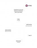 Manual diseño paneles de sol. Practica “FMS-200”