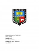 La transculturalidad