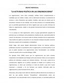 ENSAYO INDIVIDUAL “LA ACTIVIDAD POLÍTICA EN LAS ORGANIZACIONES”