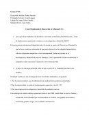 Caso Organizando la Innovación en Glenmark
