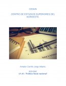 Política fiscal nacional