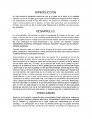 Cuál es el papel de la mujer en la sociedad moderna