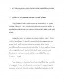 NECESIDADES BÁSICAS INSATISFECHAS DE NORTE DE SANTANDER
