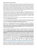 Análisis introductorio del Plan Maestro