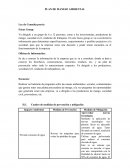 PLAN DE MANEJO AMBIENTAL Ley de Consulta previa Focus Group