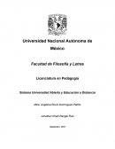 La Capacidad de Representación como Cualidad específicamente Humana