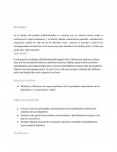 Informe de platelmintos