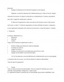 La Organización en una empresa