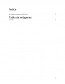 La Inflación en Honduras en 2001-2016