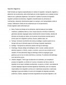 Aparato digestivo. Nutrición