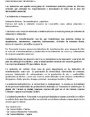 INDUSTRIAS DE VENEZUELA