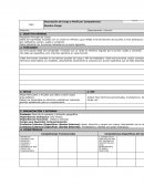 Descripción de Cargo y Perfil por Competencias