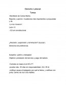 Derecho Laboral.Manifestó de Carlos Marks