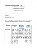 DIMENSIONES DEL SER HUMANO CUADRO COMPARATIVO