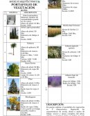 PORTAFOLIO DE VEGETACIÓN