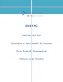 Desarrollo organizacional, su importancia en las empresas