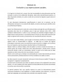 Evolución y sus repercusiones sociales