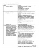 Campos de especialización de la ingeniería