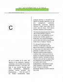Cuál es el sentido de la vida?