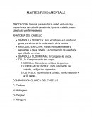 MASTER FUMDAMENTALS. ANATOMIA DEL CABELLO