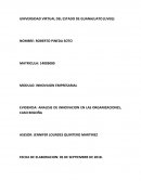ANALISIS DE INNOVACION EN LAS ORGANIZACIONES, CASO BEGOÑA